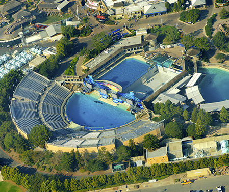 SeaWorld, a marine life theme park in San Diego